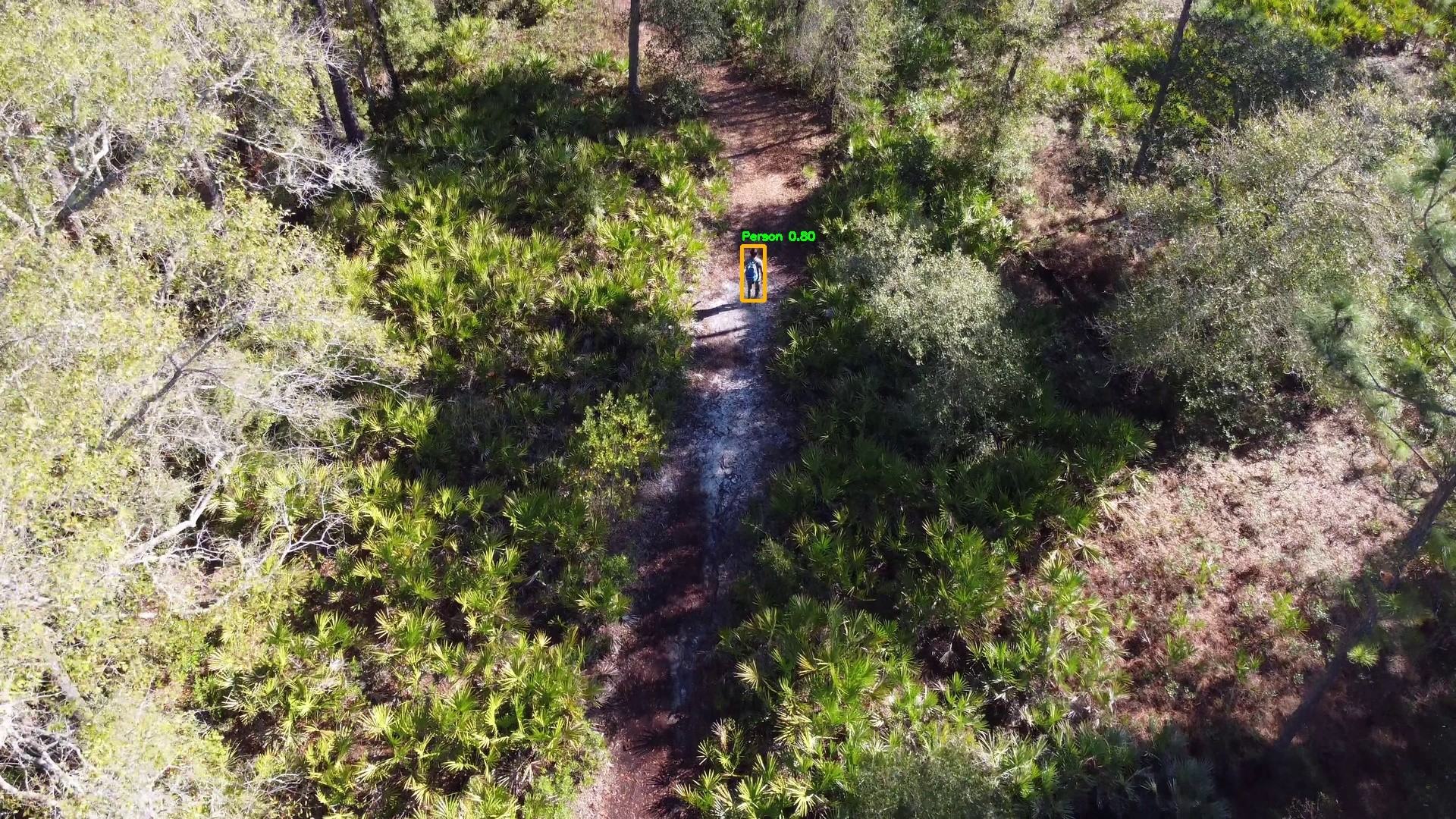 Overhead drone view of a narrow trail through dense brush, with a small detection box around a person walking on the trail.